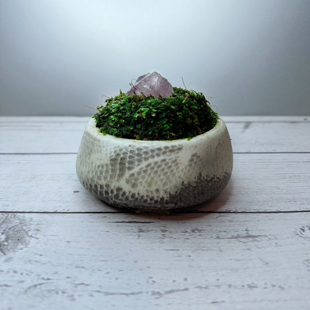 开幕风水- 水晶苔藓盆花器 系列 - 植栽/盆栽 - 植物．花 