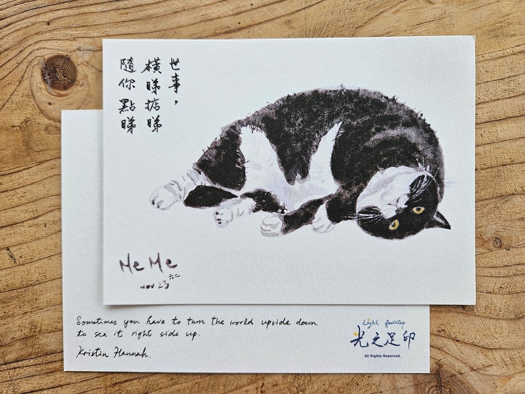 猫猫 明信片 - 卡片/明信片 - 纸 白色