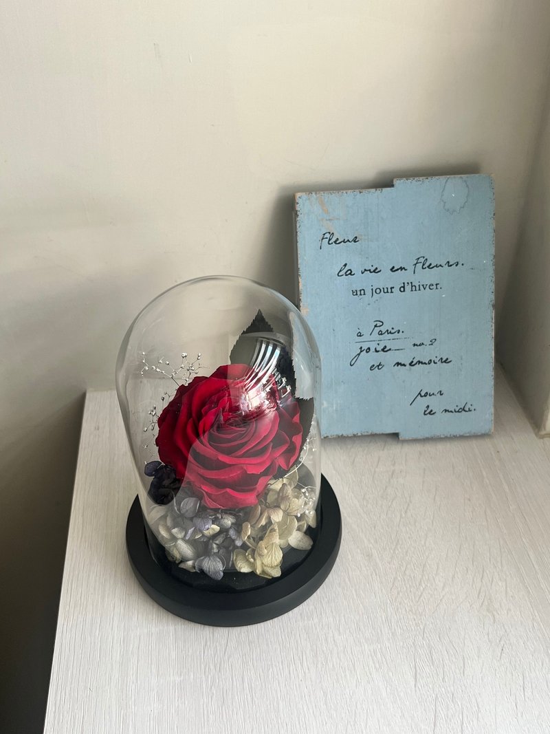 经典红玫瑰永生钟罩 - 干燥花/捧花 - 植物．花 