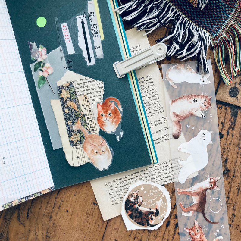 姜黄 / 5.0 cm 猫咪雾PET胶带 - 纸胶带 - 塑料 橘色