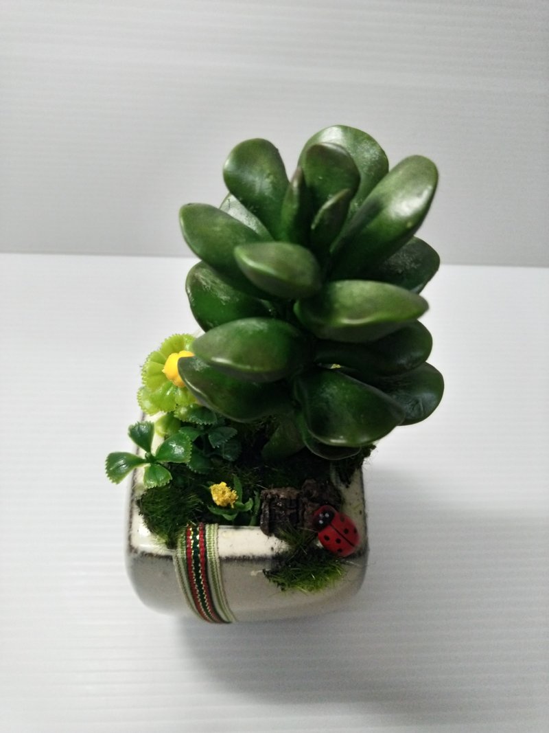 接单制作款/仿真盆栽多肉系列-天锦章 - 植栽/盆栽 - 植物．花 绿色