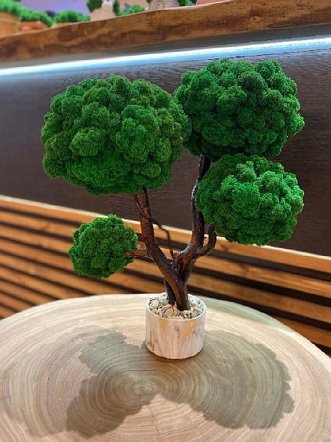 苔藓树，驯鹿苔藓，独特的苔藓树，家居装饰 - 植栽/盆栽 - 植物．花 