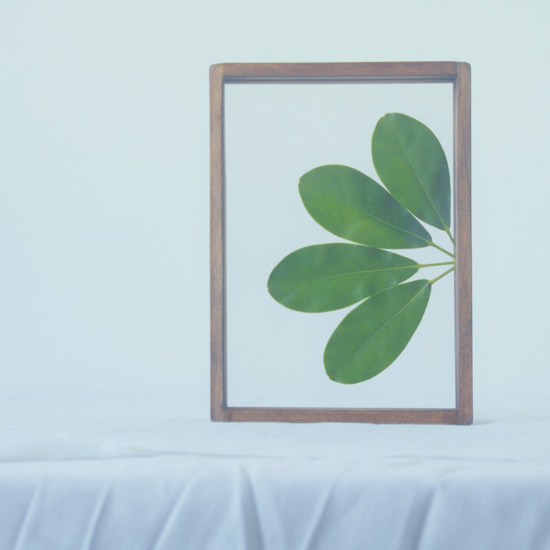 最万用情人【相框/植物标本/告白木框】 三种尺寸 DIY首选 - 画框/相框 - 木头 卡其色