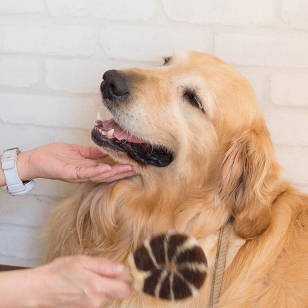 北山正积-日本职人手造宠物毛刷 犬用按摩刷 【大型犬用】 - 玩具 - 棉．麻 卡其色