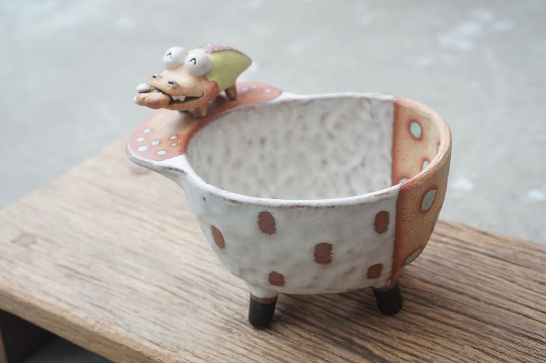 Plant pot with a crocodile ,lithops,cactus,ceramics,pottery,handmade - 花瓶/陶器 - 陶 白色