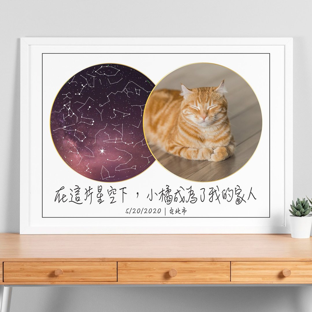 【定制化】猫咪周岁生日礼物根据日期地点纪录与它相遇的真实星空 - 其他 - 纸 白色