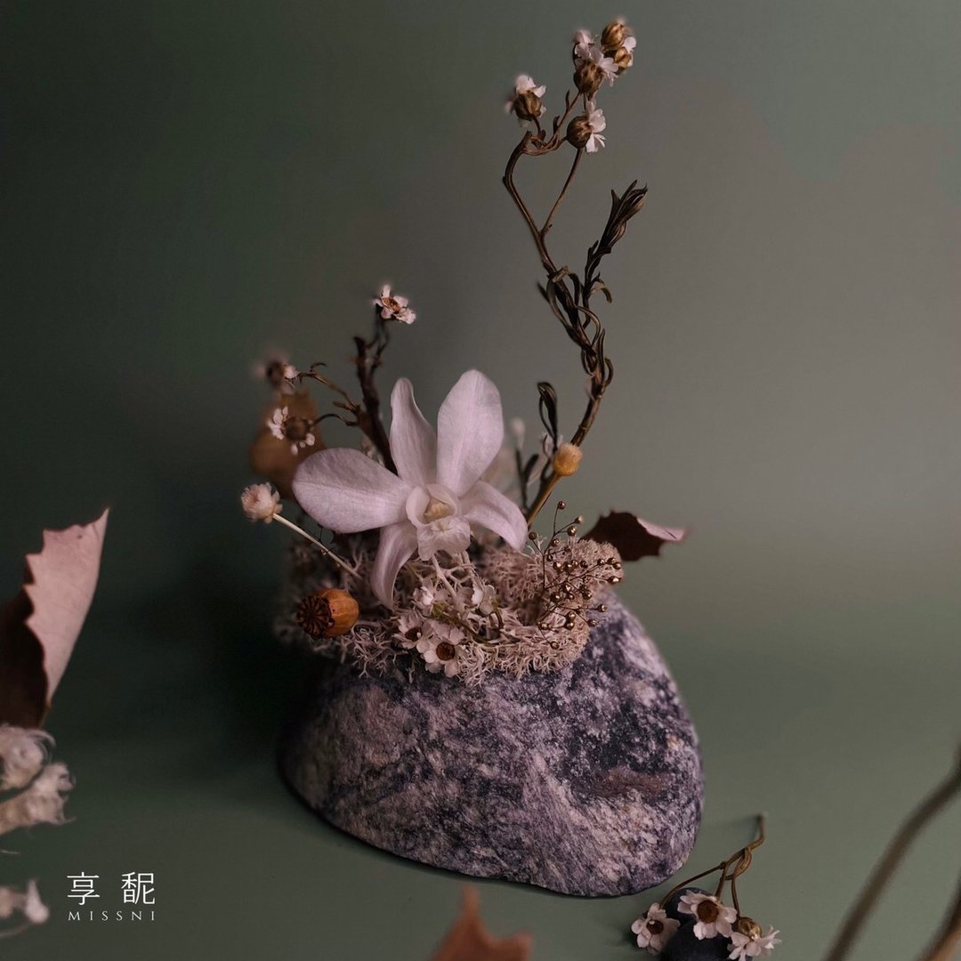 日式侘寂石斛兰 C款 (唯一 / 现货) / 永生花 - 摆饰 - 植物．花 