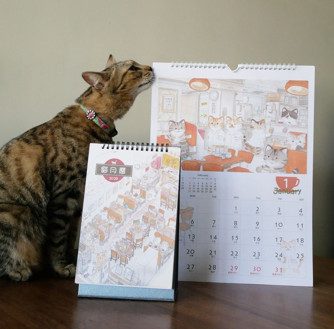 2025Calendar - 猫挂历 - 年历/台历 - 纸 