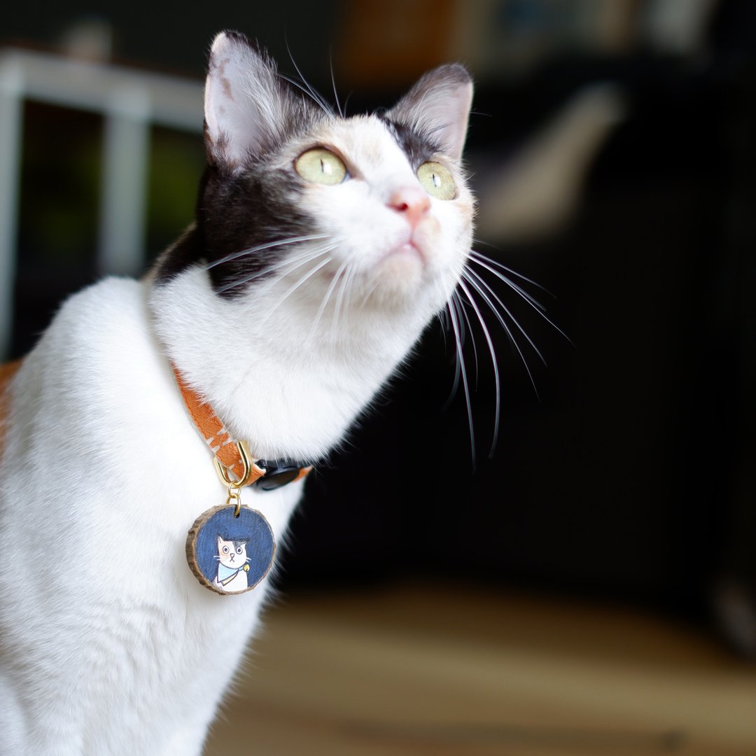 Pinkoi x Purr Craft Workshop (ป้ายชื่อสัตว์เลี้ยงและของเล่นแมวแฮนด์เมด) - 项圈/牵绳 - 木头 多色