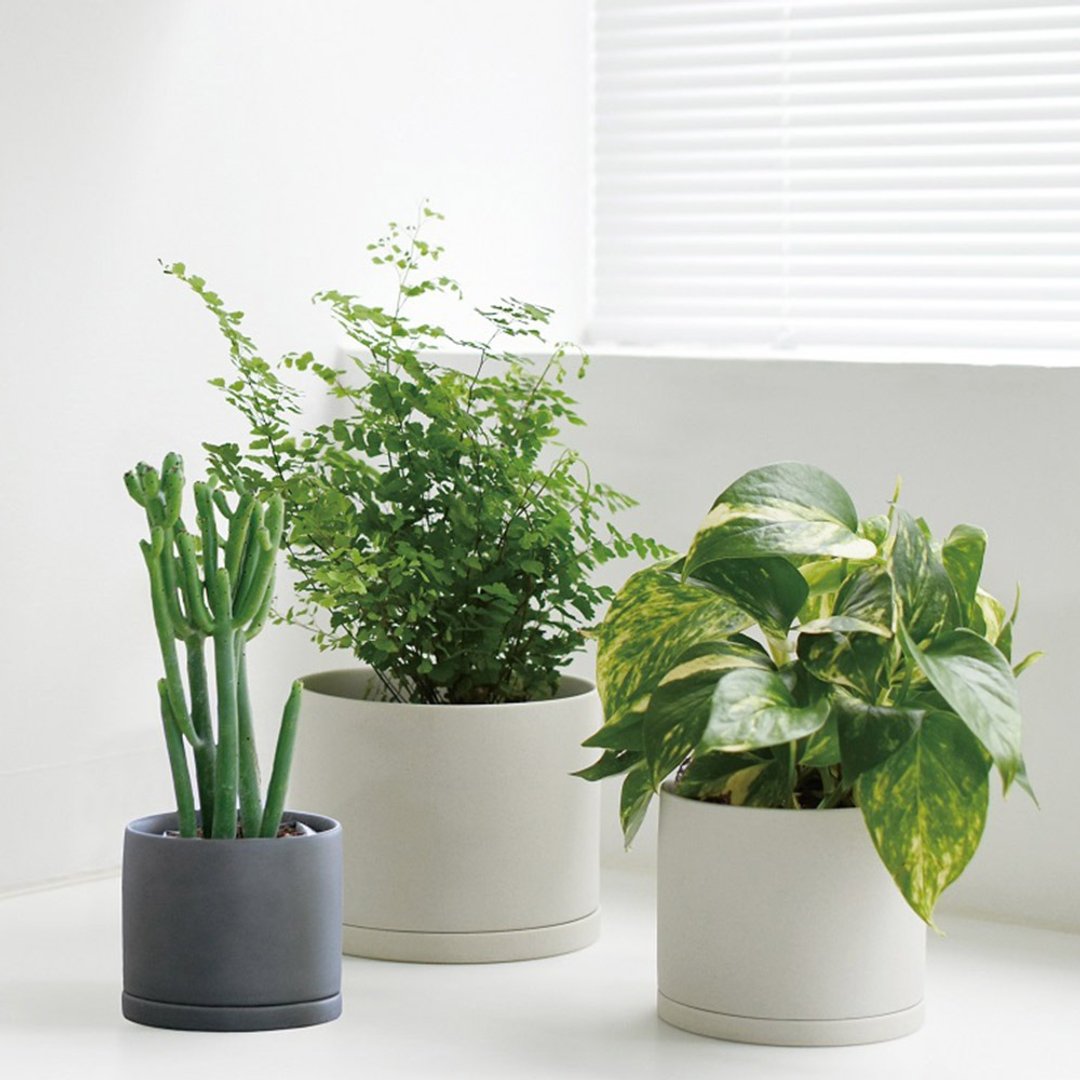 日本KINTO PLANT POT 191陶瓷花盆 / 共2色 - 花瓶/陶器 - 瓷 白色