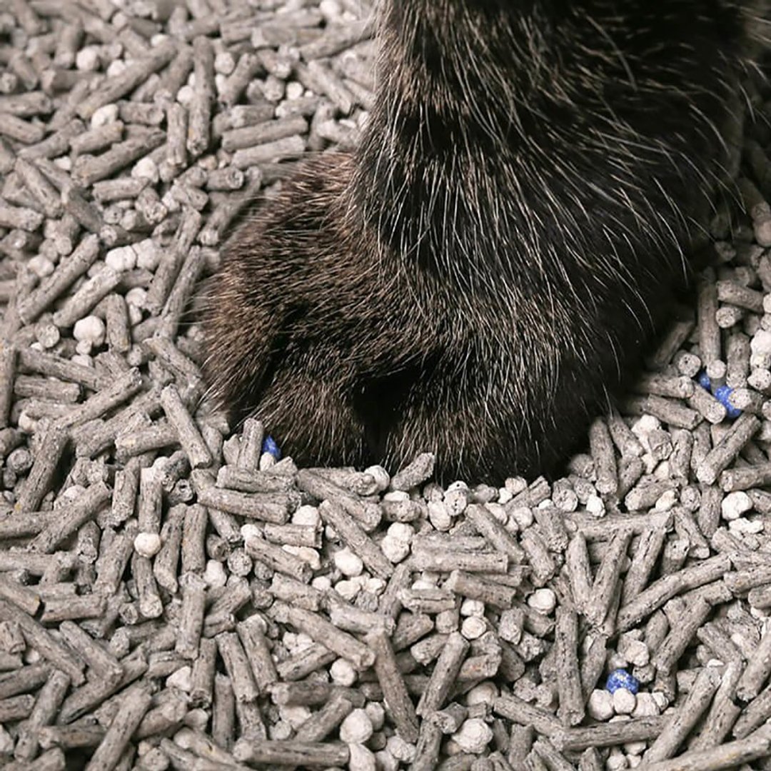 (停产) pidan 活性碳混合猫砂 豆腐砂+矿砂 3.6kg 四包组 - 猫砂/猫砂垫 - 其他材质 