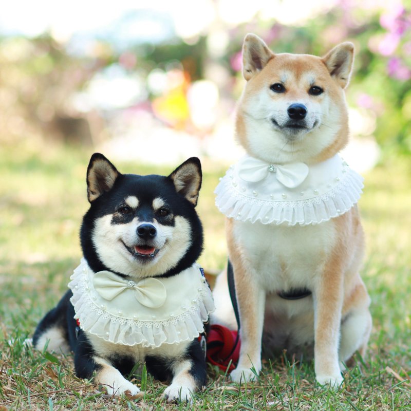 【Momoji】 宠物围兜 - Princess Margaret (01-雪白) - 项圈/牵绳 - 棉．麻 白色