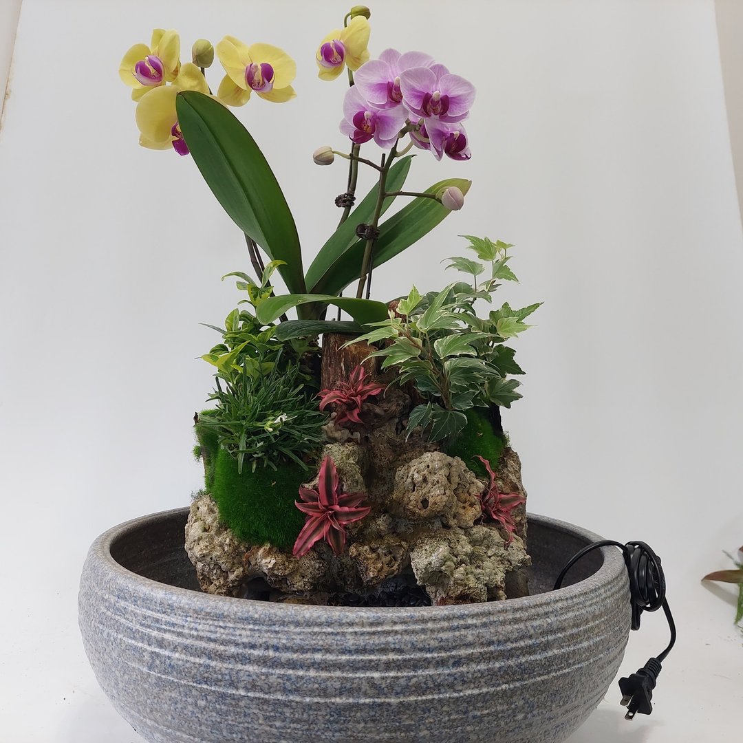 **复合式兰花流水盆景**     可以自己任意搭配组合的永久花器 - 植栽/盆栽 - 瓷 