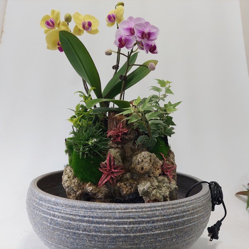 **复合式兰花流水盆景**     可以自己任意搭配组合的永久花器 - 植栽/盆栽 - 瓷 