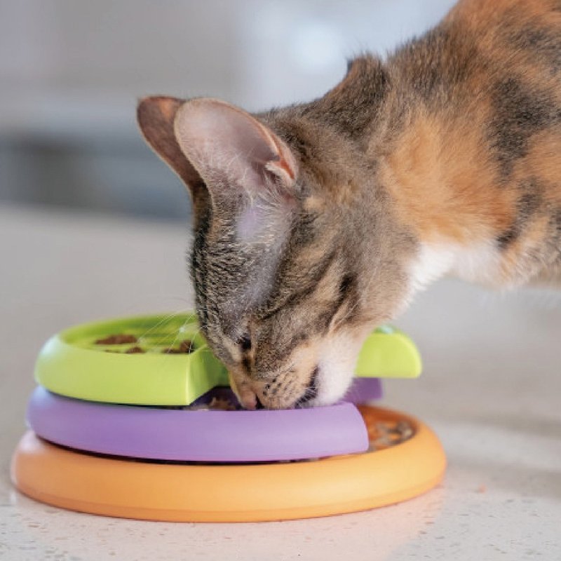 【瑞典益智玩具】贪吃猫-旋转慢食盘 LV.2 宠物玩具 - 玩具 - 橡胶 