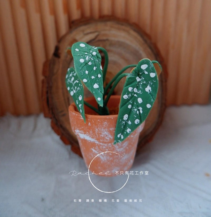 石膏捏塑-斑叶秋海棠桌上扩香摆件 - 摆饰 - 其他材质 