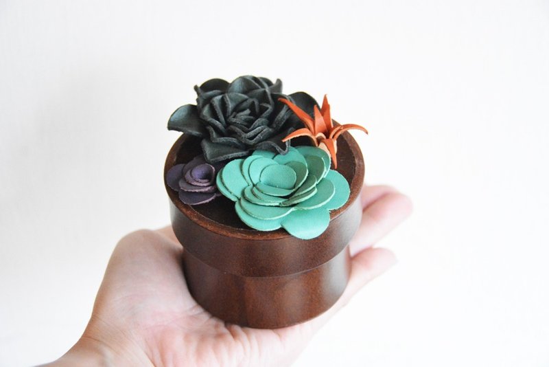 Fading Mist 植鞣牛皮革多肉植物储物小盒 - 收纳用品 - 真皮 咖啡色