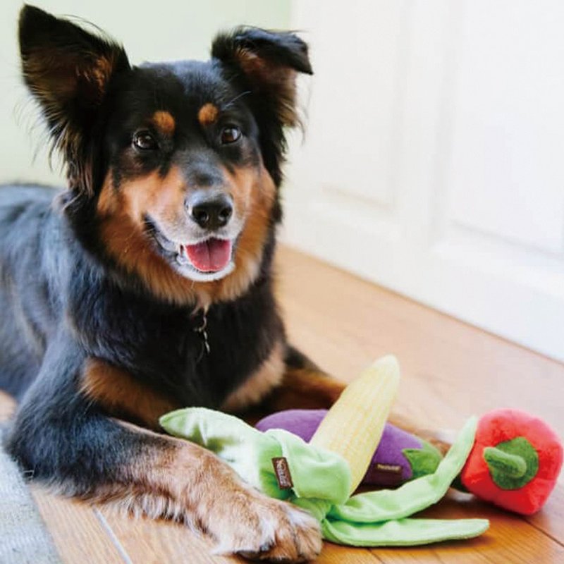 【狗狗玩具 田园农趣 3件组】宠物  啾啾声 抗忧解压 - 玩具 - 环保材料 