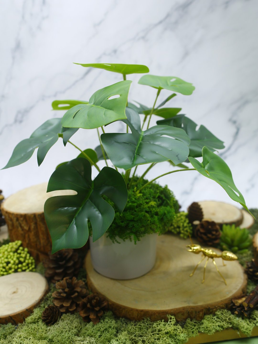 拟真龟背芋 电信兰香氛植栽 低款/拟真植物/人造盆栽/绿化/布置 - 植栽/盆栽 - 其他材质 绿色