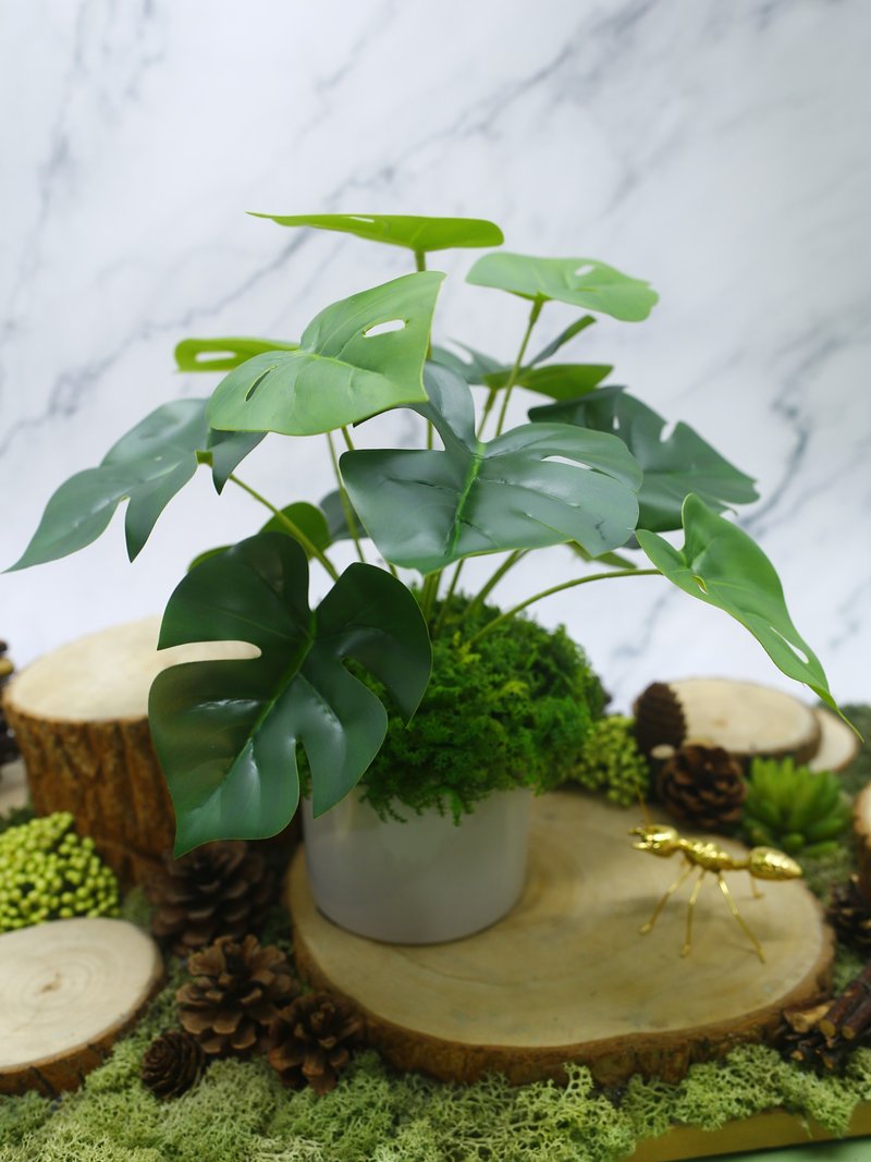 拟真龟背芋 电信兰香氛植栽 低款/拟真植物/人造盆栽/绿化/布置 - 植栽/盆栽 - 其他材质 绿色