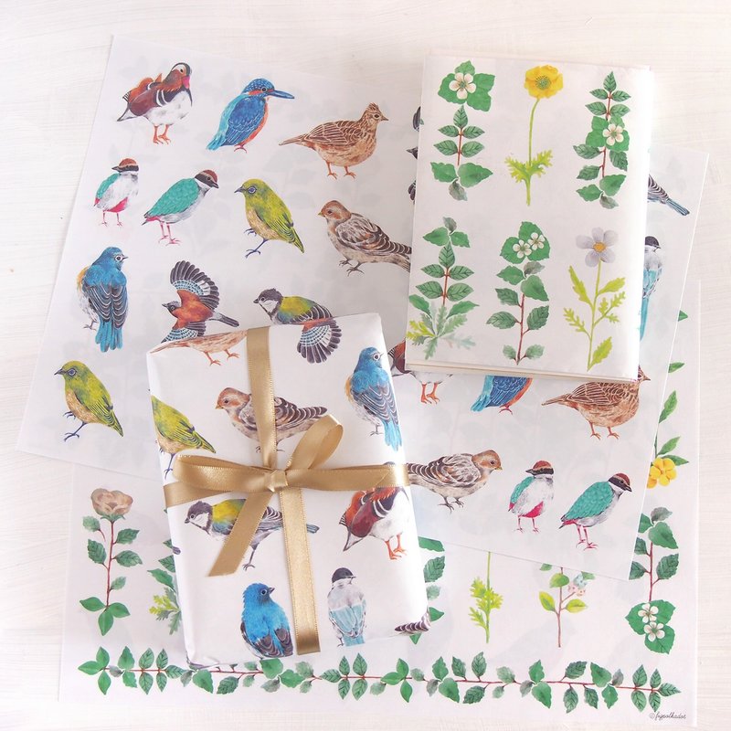 Double-sided wrapping paper Birds and plants - 包装材料 - 纸 
