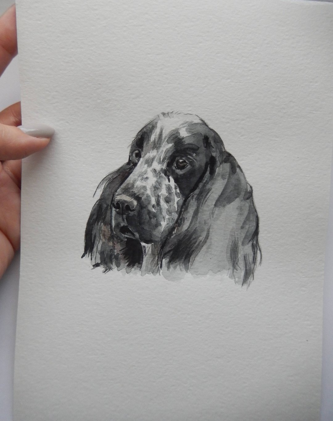 Pet Custom Hand-painted Watercolor, Painting Dog, Pet memorial portrait - 订制画像 - 纸 多色