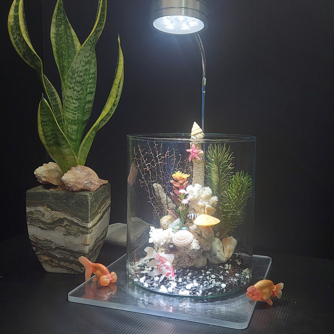 鱼缸 珊瑚海景、流木水草 组合造景 AM-003-L-02 - 植栽/盆栽 - 玻璃 
