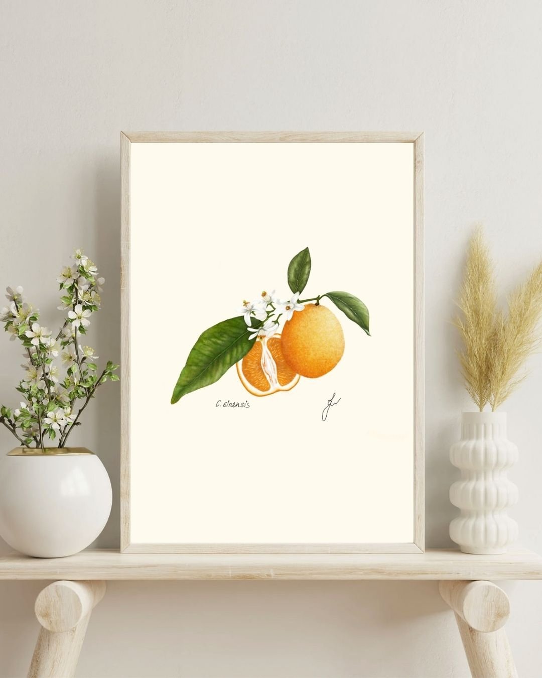 手绘甜橙与橙花植物插画, 数字下载 - 电子手绘真人画像/绘画/插画 - 其他材质 
