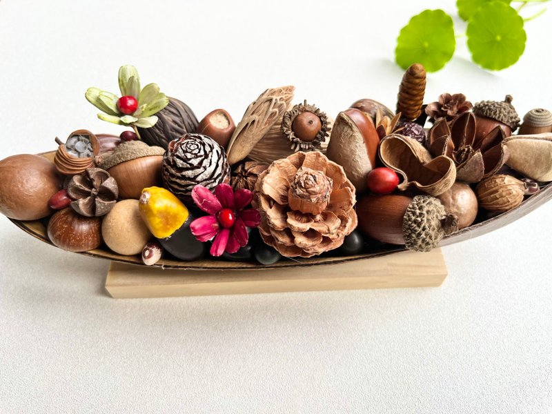 植物摆饰-种子船(大)/干燥果实 - 植栽/盆栽 - 植物．花 