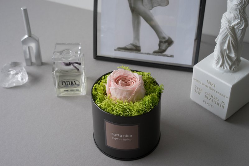 天然扩香 Catherine Duo 玫瑰 2款 永生花香氛系列 - 香薰/精油/线香 - 植物．花 多色