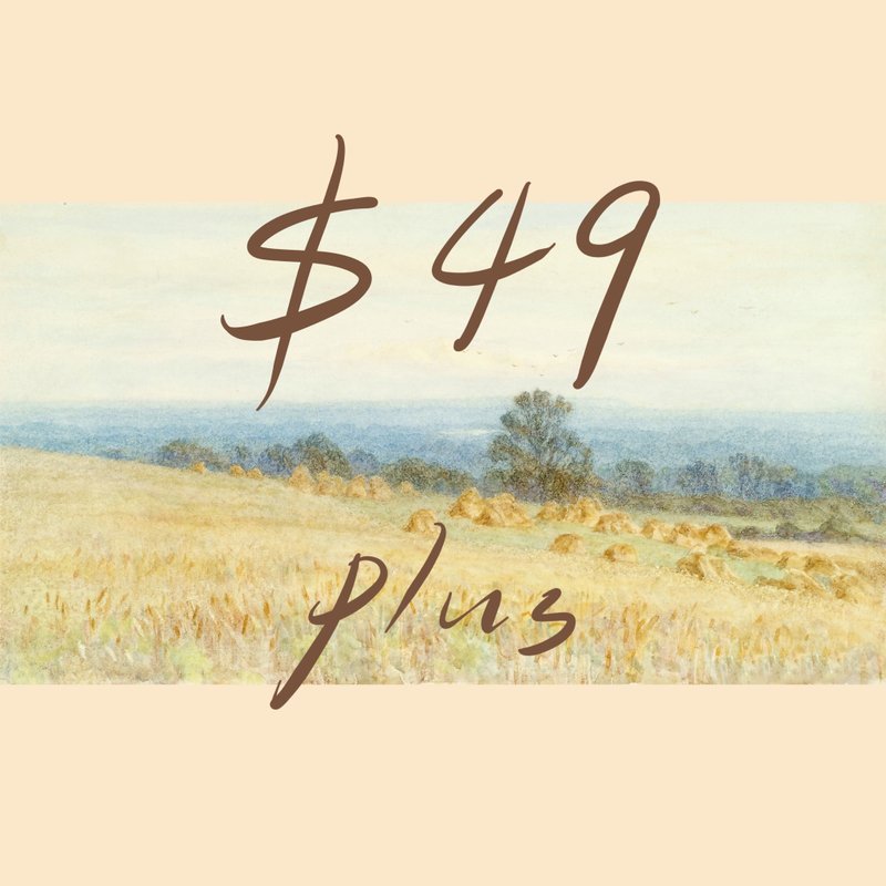 49元发夹专区 - 发饰 - 其他材质 