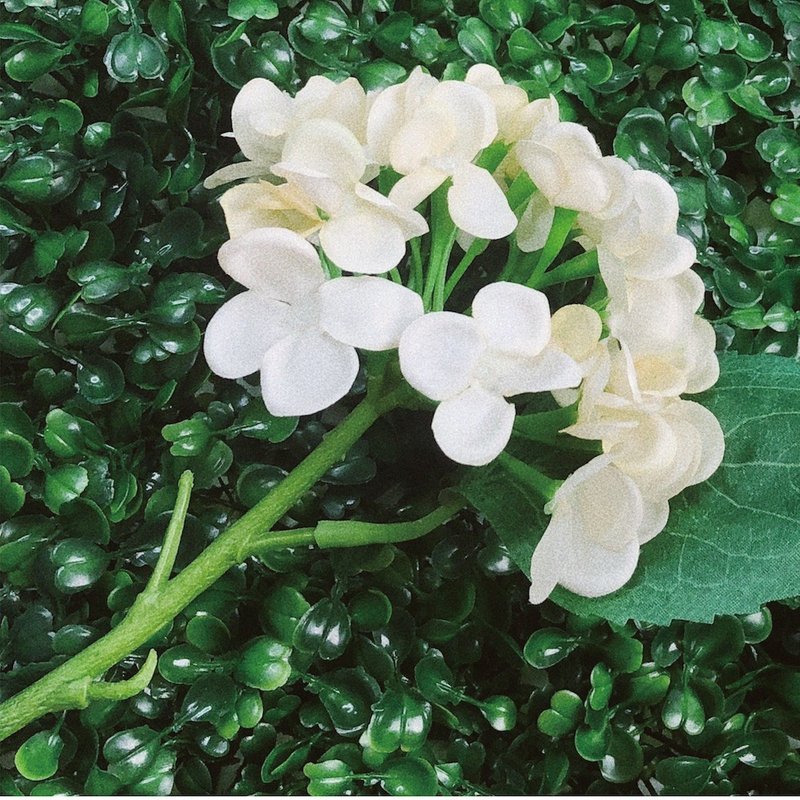 美极品【拍照好物】 背景神器50cm 六号立体草丛拍照背 - 相机 - 其他材质 多色