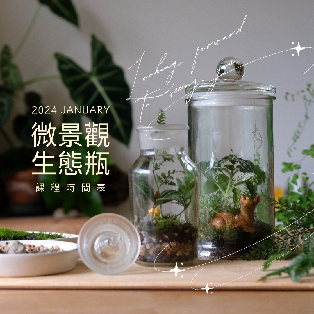 减速节奏 | 微景疗愈生态瓶_赠照顾工具 - 植栽 - 植物．花 