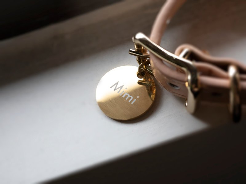 宠物防走失文字吊牌  狗狗 猫咪 - 其他 - 其他金属 金色