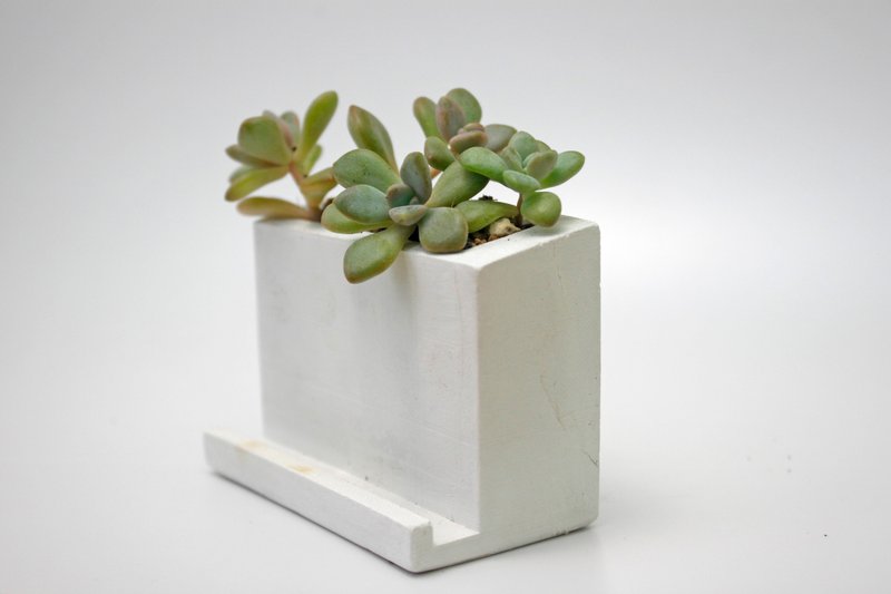 水泥盆器 多肉植物 -名片架 - 植栽/盆栽 - 水泥 银色