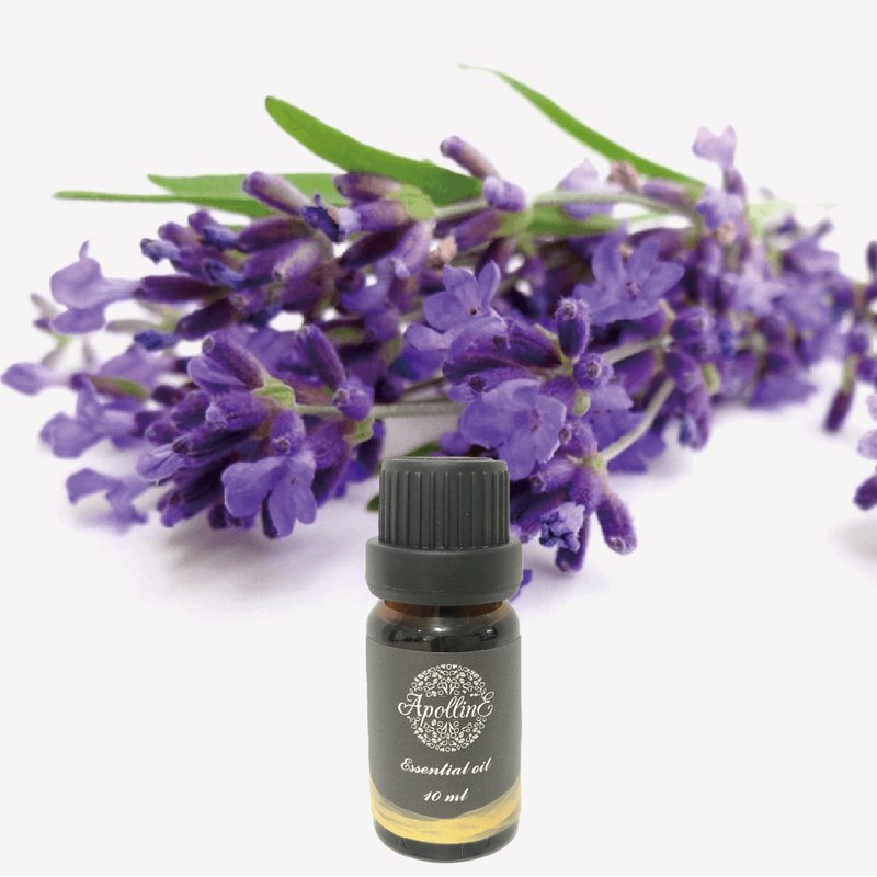真正/高地薰衣草精油 LAVENDER - 香薰/精油/线香 - 精油 