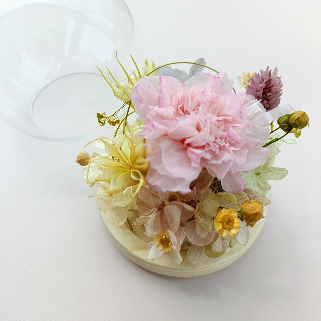 母亲节礼物 永生康乃馨玫瑰玻璃盅罩 干燥花情人节生日毕业企业课 - 干燥花/捧花 - 植物．花 粉红色