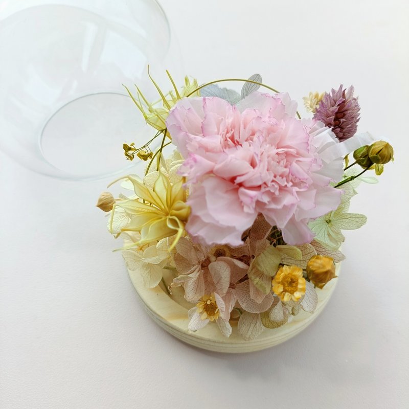 母亲节礼物 永生康乃馨玫瑰玻璃盅罩 干燥花情人节生日毕业企业课 - 干燥花/捧花 - 植物．花 粉红色