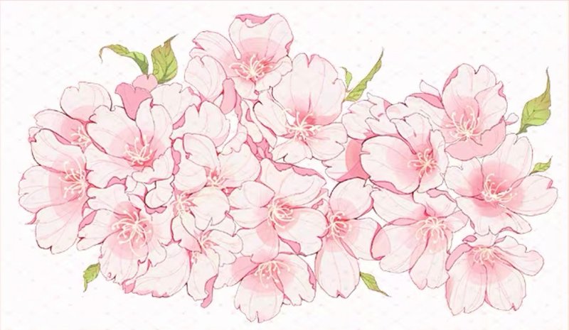 樱花祭 PET 纸胶带 贝壳光 - 纸胶带 - 其他材质 多色