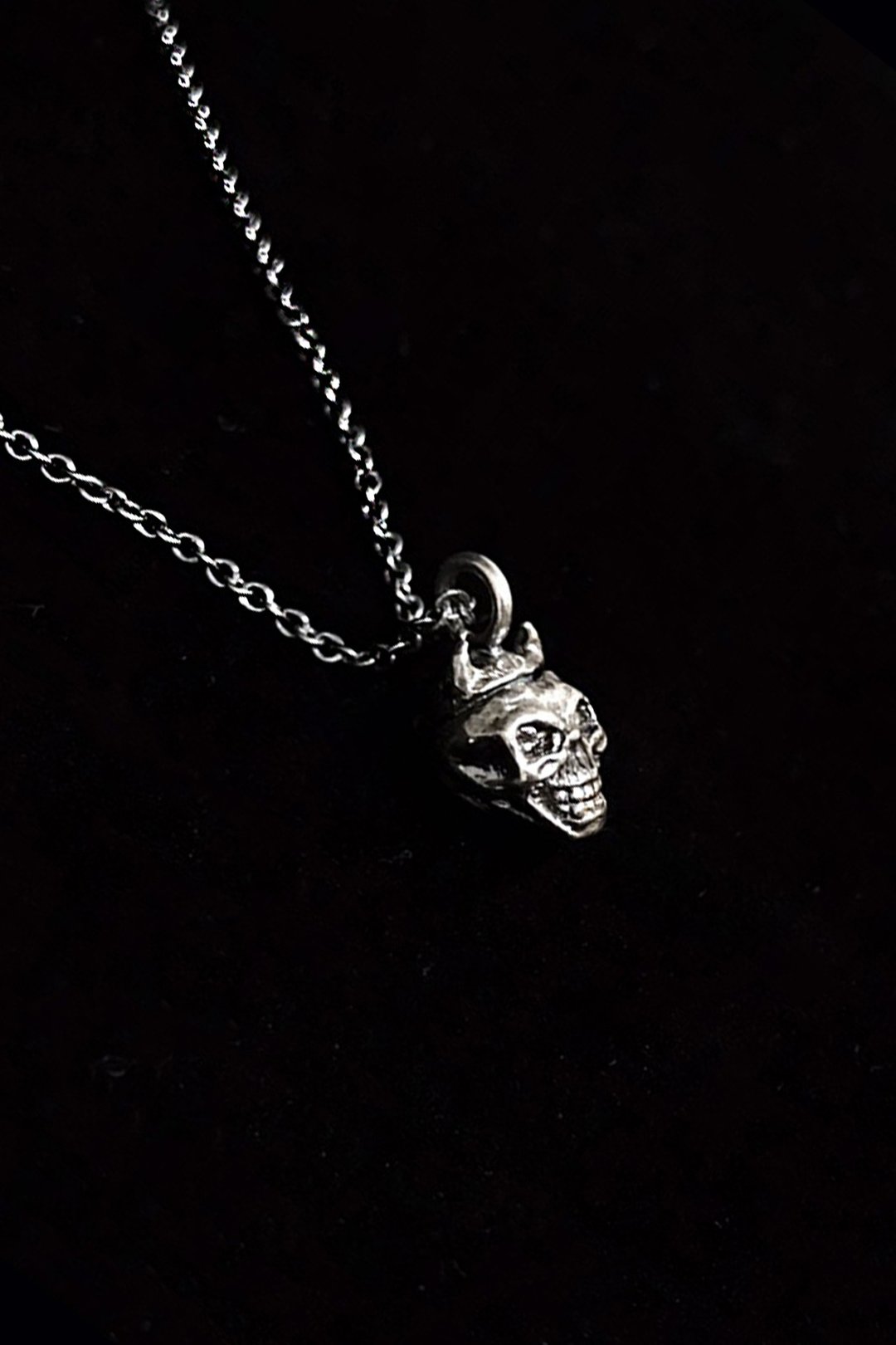 生物学/Homo sapiens灵长目 925纯银项链 - 项链 - 纯银 黑色