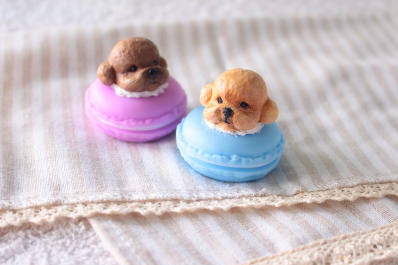 公版宠物造型置物盒-贵宾.法斗.玛尔.柯基 - 其他 - 树脂 多色