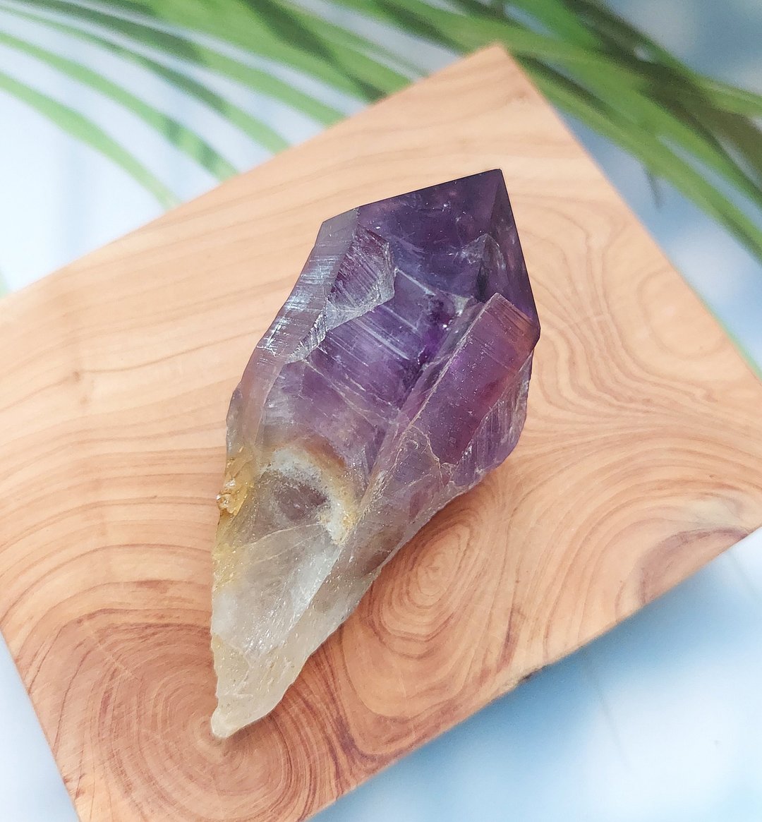 Amethyst 刚果产地 大牙单颗 紫水晶 天然矿石 原矿 - 摆饰 - 其他材质 
