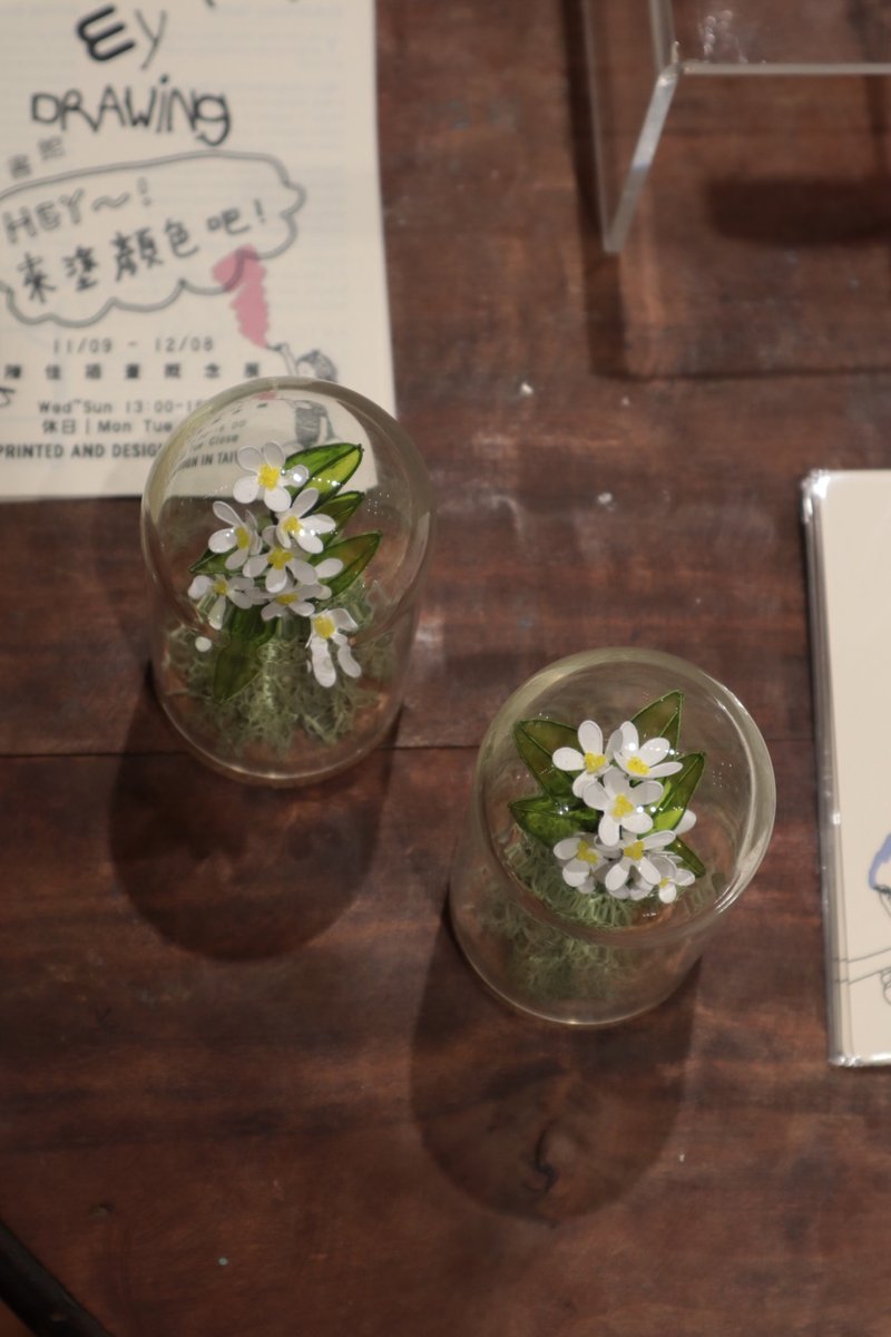 一枝独桂 软木塞玻璃罩 - 摆饰 - 树脂 白色