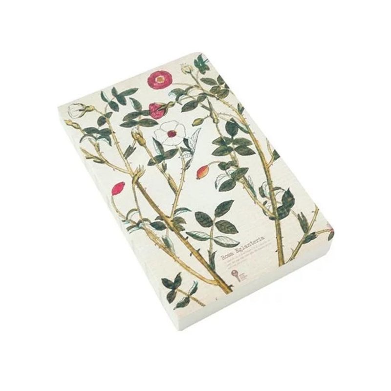 JIUKOUSHAN 九口山 320Pages 药草系列 裸装白纸笔记本 野蔷薇 - 笔记本/手帐 - 纸 