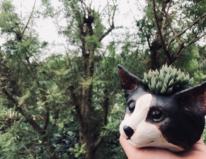 宋先生【我发妳植】 - 其他 - 陶 咖啡色