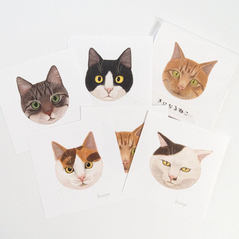 在意猫咪 随手笔记 - 笔记本/手帐 - 纸 白色