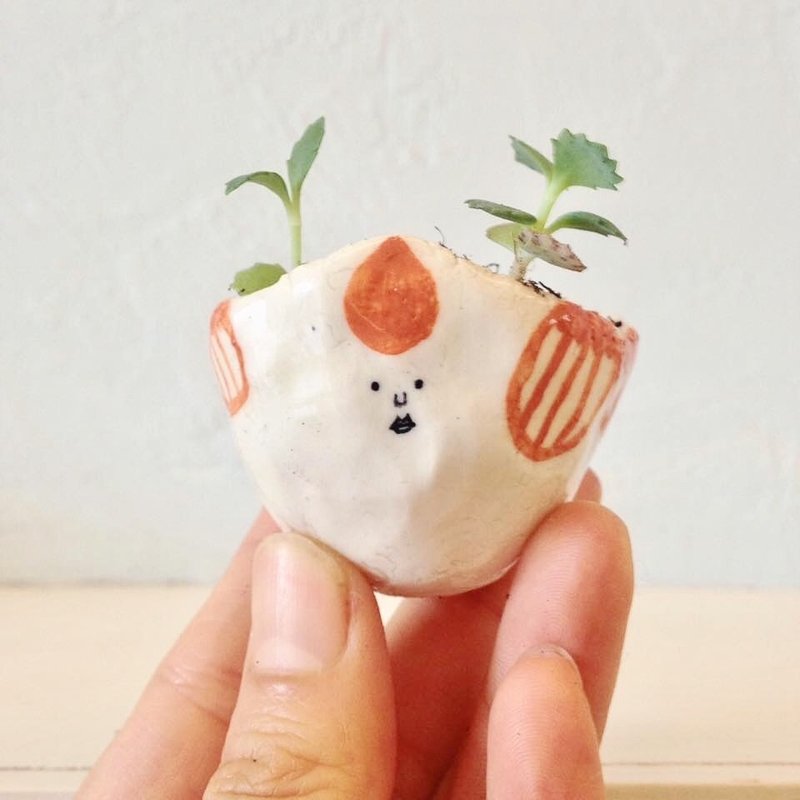 小多肉容器--办公桌小物  疗愈植栽 - 花瓶/陶器 - 陶 白色