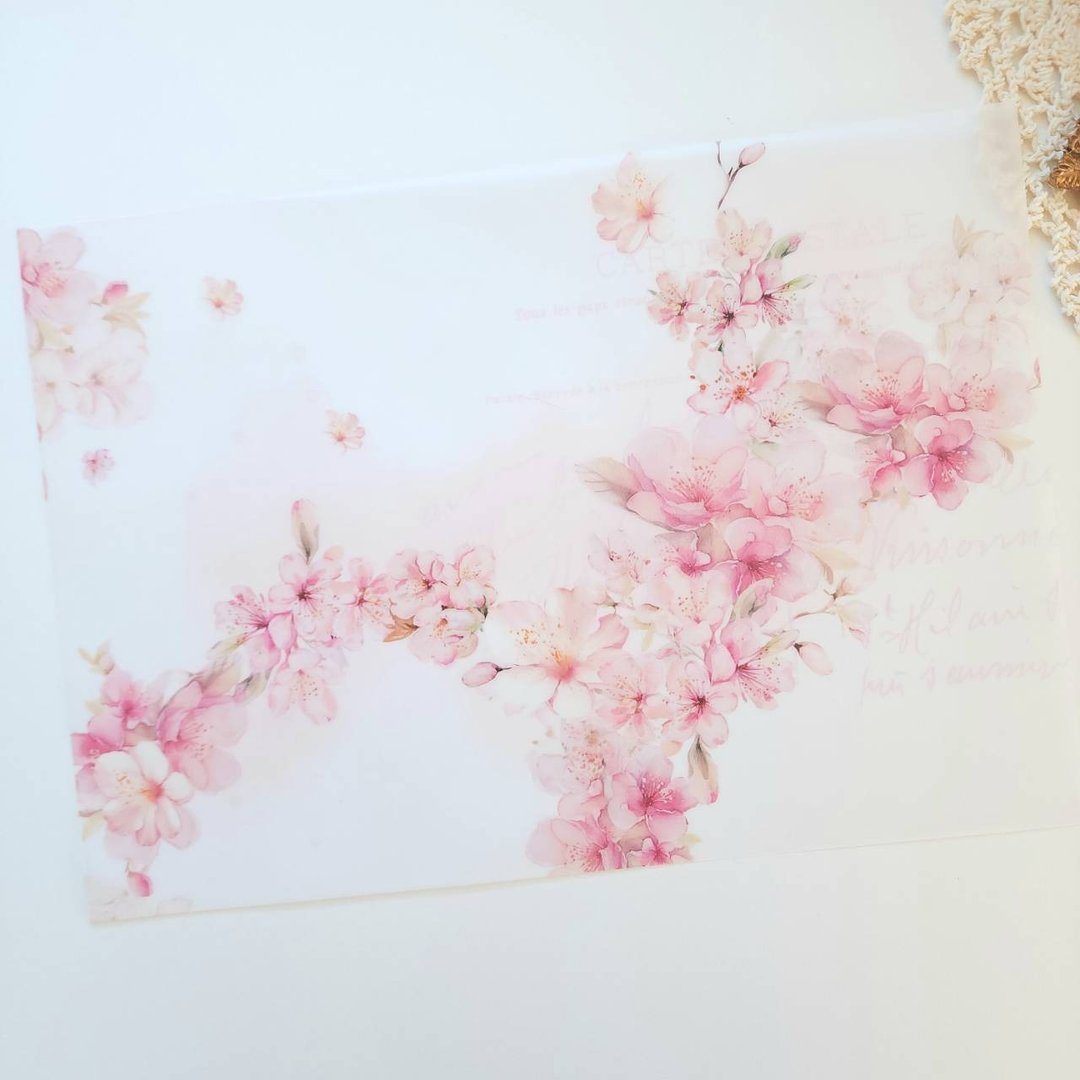 樱花描图纸 售完为止 - 纸盒/包装盒 - 纸 粉红色