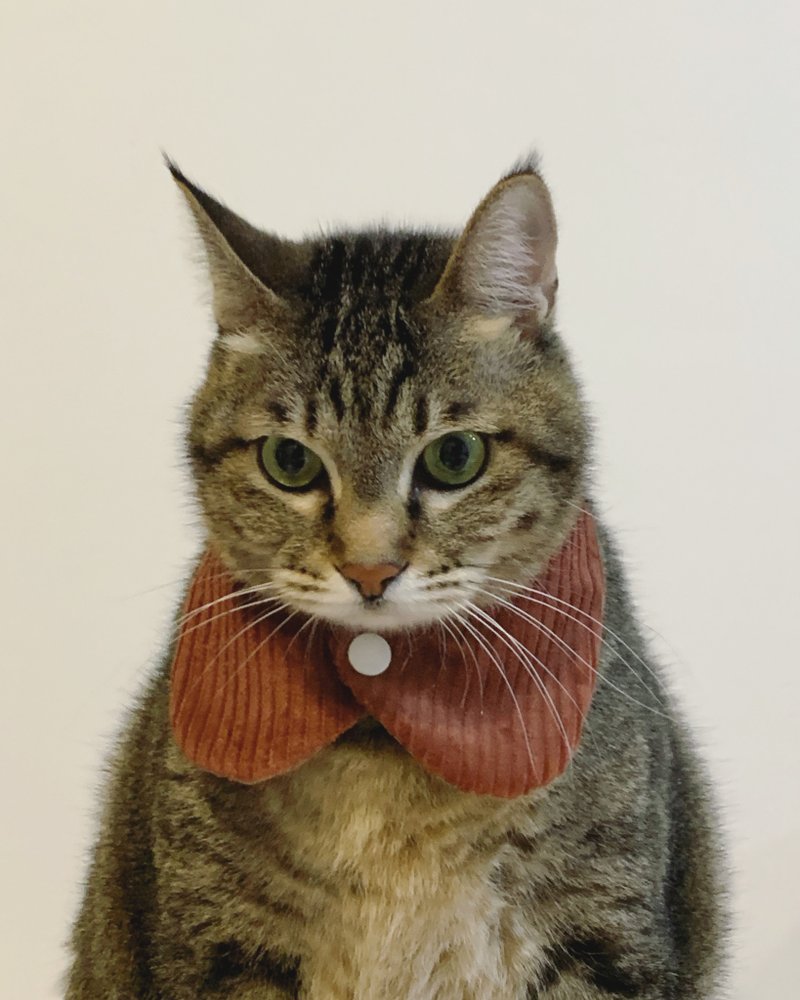 领巾自助餐   圆领灯芯绒版  -【 这不是圣诞节 红 】 - 项圈/牵绳 - 棉．麻 红色