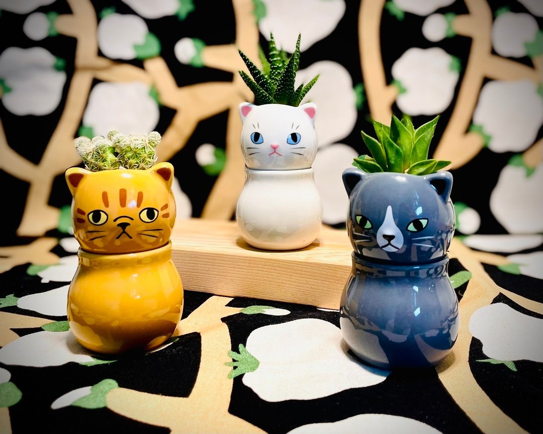 【春天、永续限定】萌猫乐园_手作植栽陶瓷小盆栽组_SDGs - 玩具 - 瓷 多色